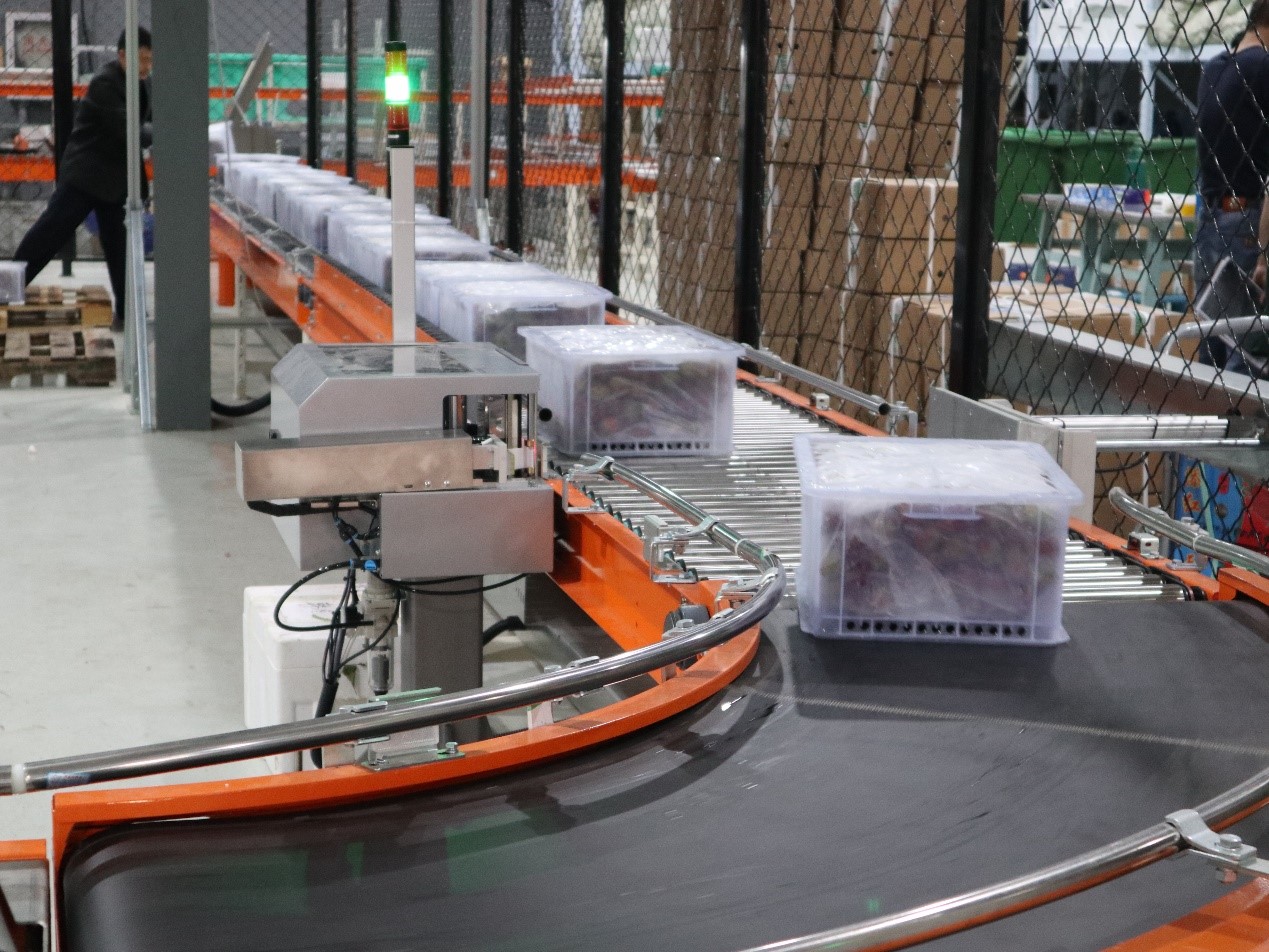 生鮮食品行業(yè)新項(xiàng)目竣工 | 蘇洪鮮食倉(cāng)儲(chǔ)智能管理系統(tǒng)正式上線(xiàn)