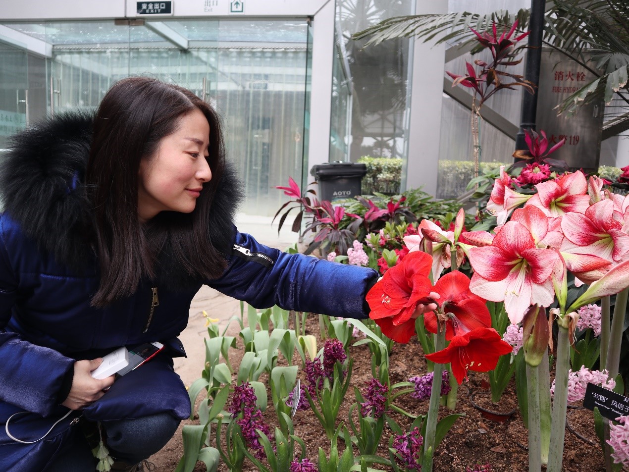 新聞 | 寶開組織“相約春季，歡暢游園”三八節(jié)主題活動